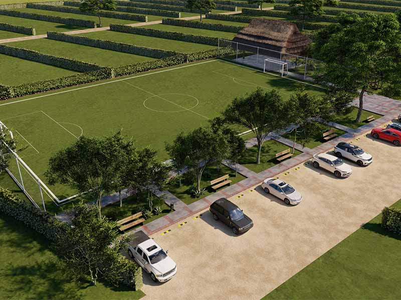 GUAHANI SILVESTRE- Imagen de proyecto No. 1