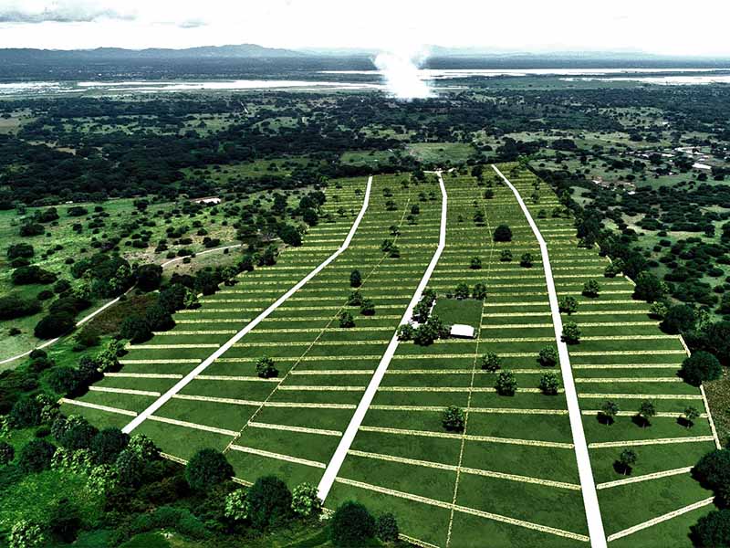GUAHANI SILVESTRE- Imagen de proyecto No. 1