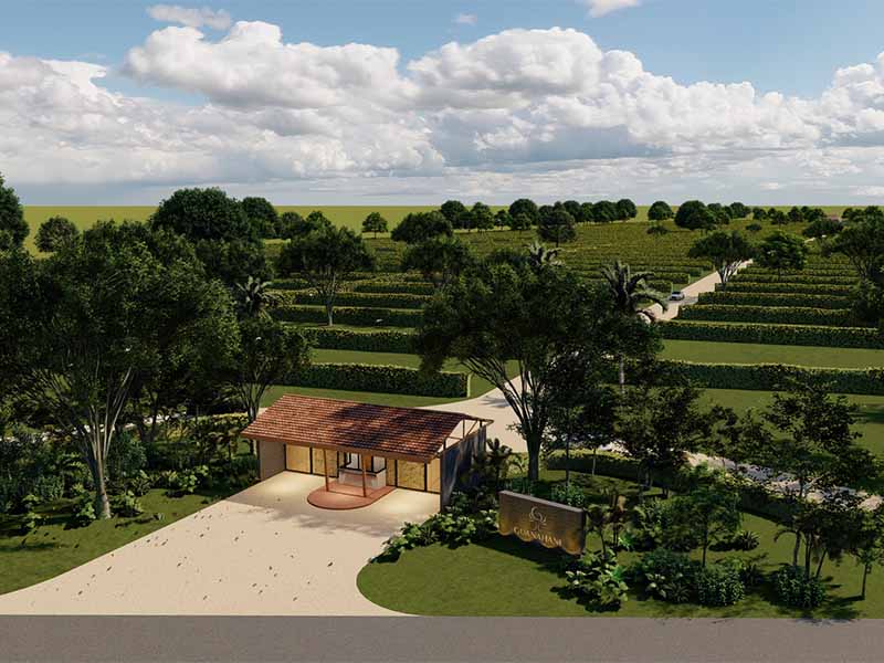 GUAHANI SILVESTRE- Imagen de proyecto No. 1