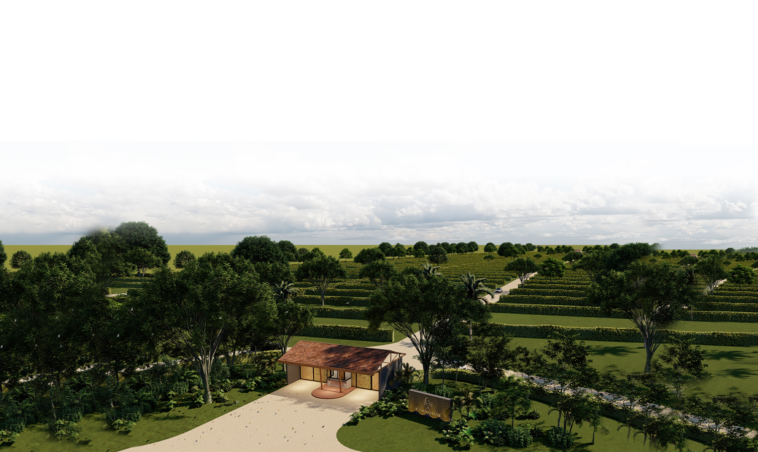 GUAHANI SILVESTRE- Imagen de proyecto No. 1